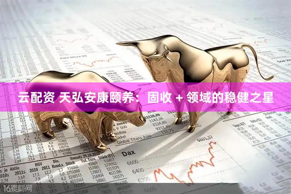 云配资 天弘安康颐养：固收 + 领域的稳健之星