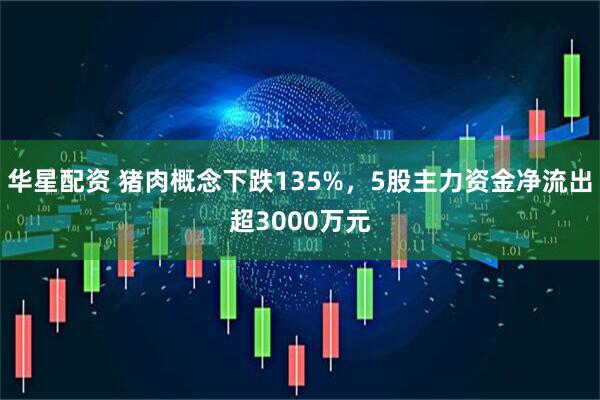 华星配资 猪肉概念下跌135%，5股主力资金净流出超3000万元