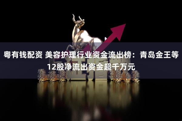 粤有钱配资 美容护理行业资金流出榜：青岛金王等12股净流出资金超千万元