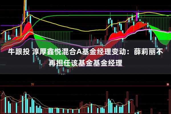 牛跟投 淳厚鑫悦混合A基金经理变动：薛莉丽不再担任该基金基金经理
